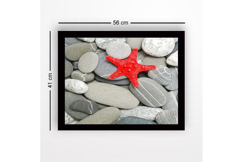 Innrammet lerretsbilde i tre - 41x56 cm - Rød sjøstjerne på en samling grå steiner - Grå / Rød - Innredning - Bilder & kunst