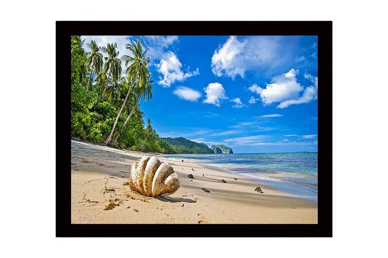 Innrammet lerretsbilde i tre - 41x56 cm - Skjell på en solrik strand med palmer i bakgrunnen, Blå / Grønn / Beige