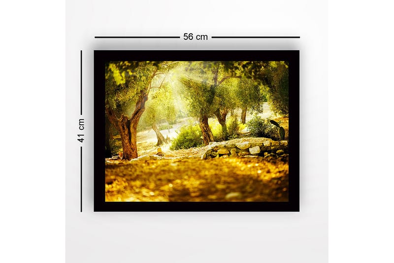 Innrammet lerretsbilde i tre - 41x56 cm - Solbelyst skog med oliventrær - Grønn / Gull / Brun - Innredning - Bilder & kunst