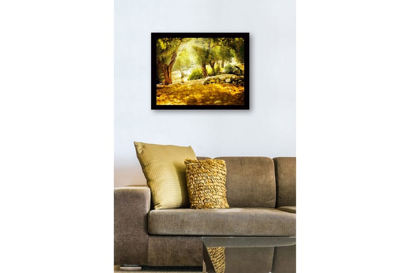 Innrammet lerretsbilde i tre - 41x56 cm - Solbelyst skog med oliventrær - Grønn / Gull / Brun - Innredning - Bilder & kunst