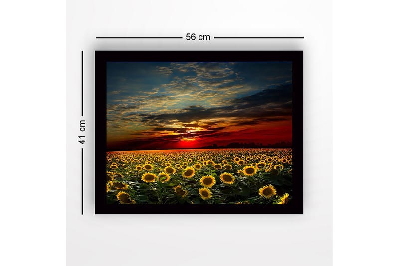 Innrammet lerretsbilde i tre - 41x56 cm - Solsikkefelt under en fargerik solnedgang - Gul / Oransje / Blå - Innredning - Bilder & kunst