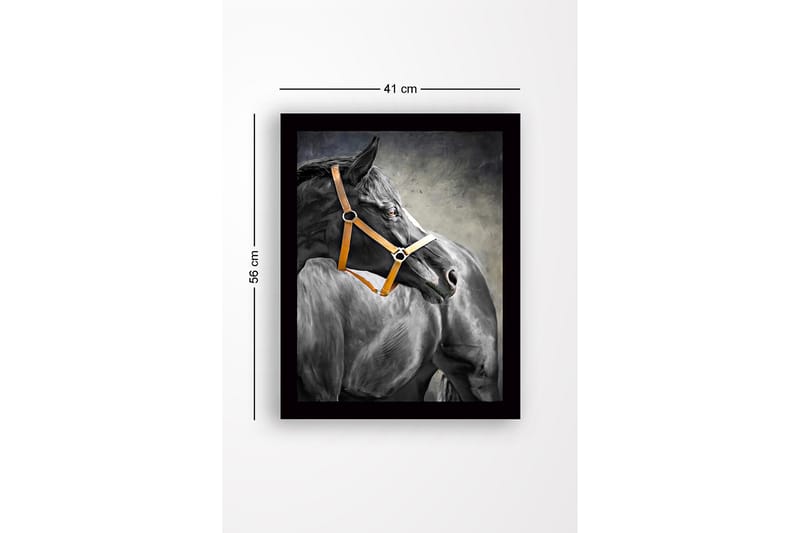 Innrammet lerretsbilde i tre - 41x56 cm - Svart hest med oransje grime i profil - Svart / Oransje / Grå - Innredning - Bilder & kunst