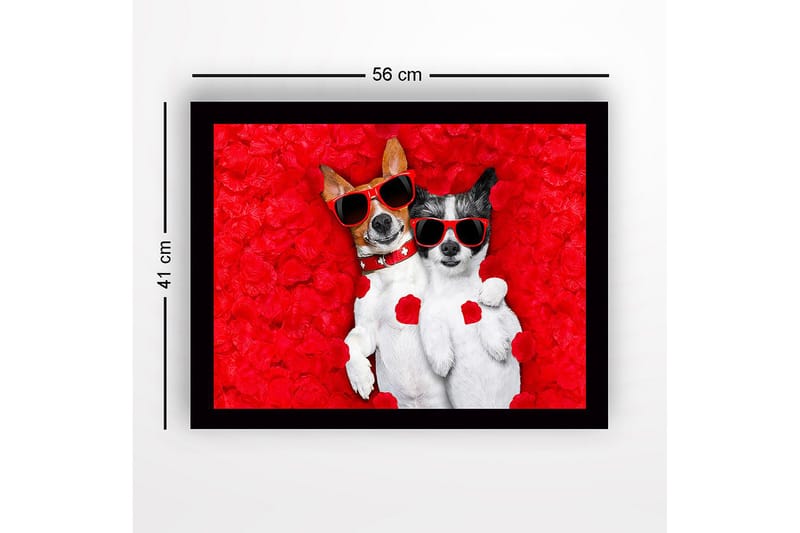 Innrammet lerretsbilde i tre - 41x56 cm - To hunder med solbriller omgitt av røde roseblader - Rød / Svart / Hvit - Innredning - Bilder & kunst