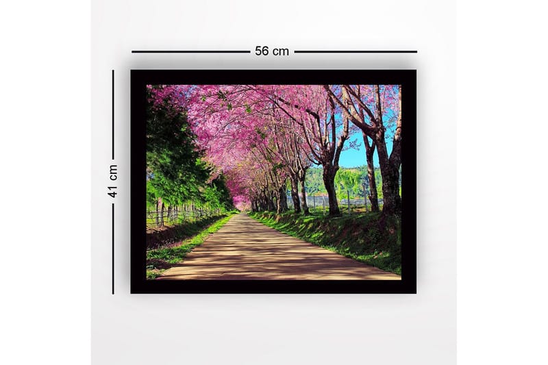 Innrammet lerretsbilde i tre - 41x56 cm - Vakker allé med blomstrende kirsebærtrær i rosa nyanser - Rosa / Grønn / Brun - Innredning - Bilder & kunst
