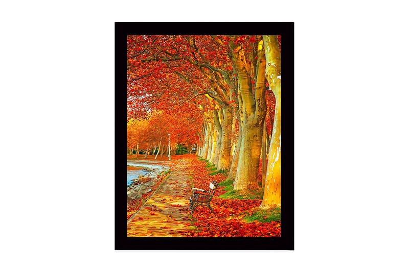 Innrammet lerretsbilde i tre - 41x56 cm - Vakker allé med høstfargede trær og en benk langs en tursti - Oransje / Gull / Grønn - Innredning - Bilder & kunst