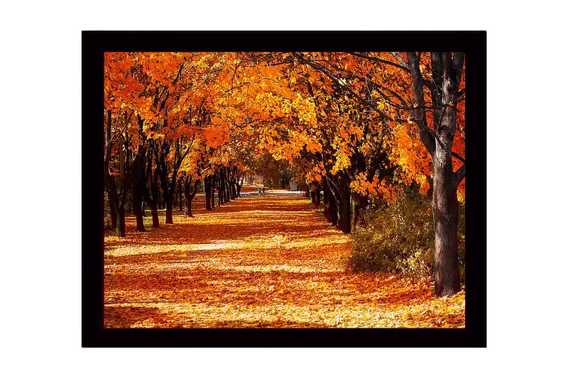 Innrammet lerretsbilde i tre - 41x56 cm - Vakker allé med høstfargede trær - Oransje / Gull / Brun - Innredning - Bilder & kunst