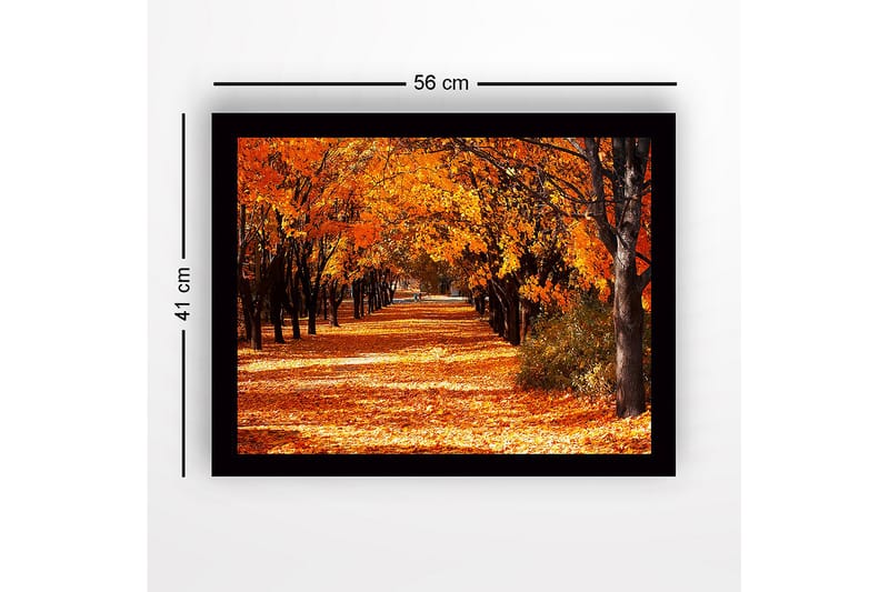Innrammet lerretsbilde i tre - 41x56 cm - Vakker allé med høstfargede trær - Oransje / Gull / Brun - Innredning - Bilder & kunst