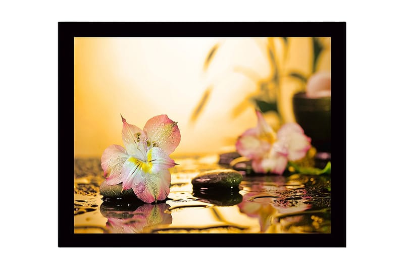 Innrammet lerretsbilde i tre - 41x56 cm - Vakker blomst med vanndråper på steiner - Rosa / Grønn / Gul - Innredning - Bilder & kunst