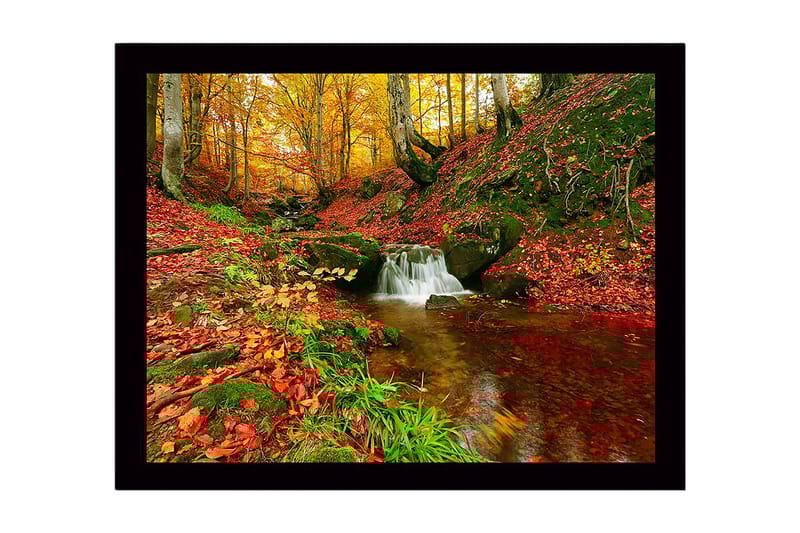 Innrammet lerretsbilde i tre - 41x56 cm - Vakker skog med en klukkende bekk omgitt av høstfarger, Rød / Oransje / Grønn