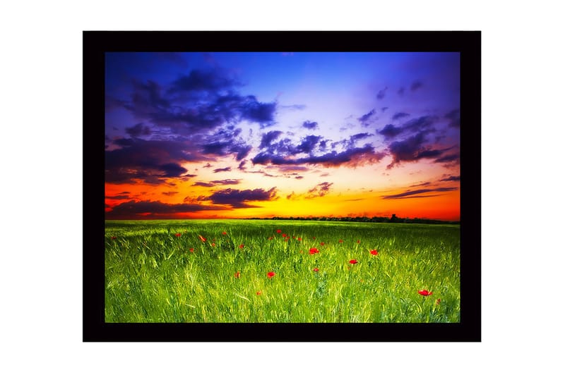 Innrammet lerretsbilde i tre - 41x56 cm - Vakker solnedgang over en grønn eng med røde valmuer, Grønn / Oransje / Blå