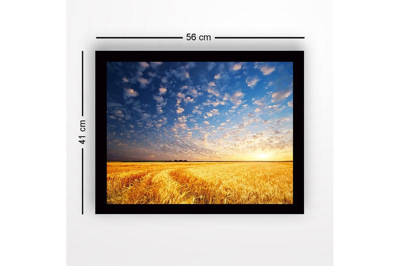 Innrammet lerretsbilde i tre - 41x56 cm - Vakker solnedgang over et gyllent hvetefelt - Gull / Blå / Hvit - Innredning - Bilder & kunst