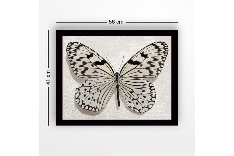 Innrammet lerretsbilde i tre - 41x56 cm - Vakker sommerfugl med detaljerte mønstre i svart-hvitt - Hvit / Svart - Innredning - Bilder & kunst