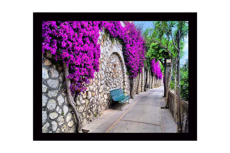 Innrammet lerretsbilde i tre - 41x56 cm - Vakker tur med bougainvillea som pryder en steinmur, Lilla / Grønn / Beige