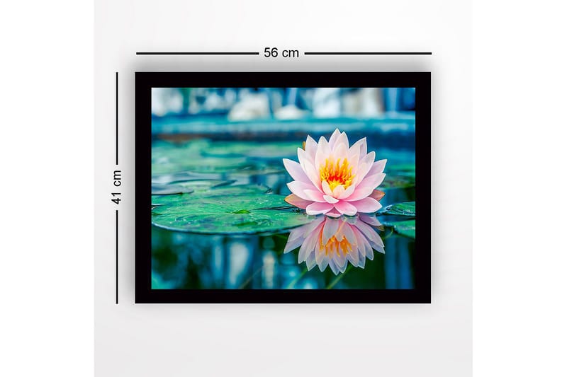 Innrammet lerretsbilde i tre - 41x56 cm - Vakker vannlilje som flyter på en speillignende overflate - Rosa / Grønn / Gul - Innredning - Bilder & kunst