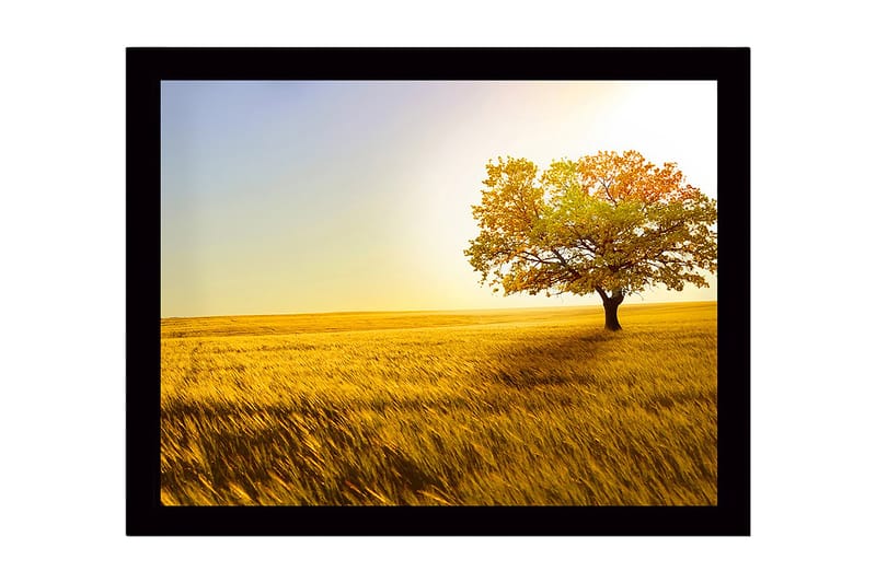Innrammet trelerretsbilde - 41x56 cm - Ensomt høsttre i en gyllen åker, Gull / Grønn / Oransje