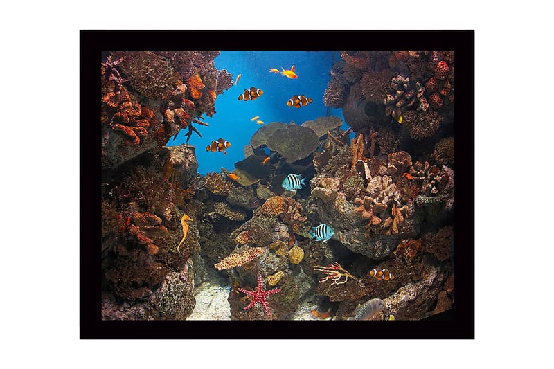 Innrammet trelerretsbilde - 41x56 cm - Fargerik undervannsscene med korallrev og svømmende fisk, Blå / Oransje / Grønn