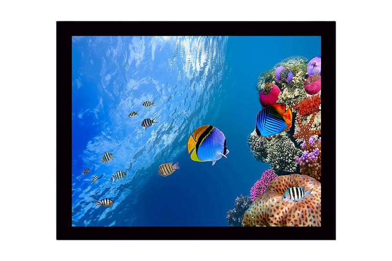 Innrammet trelerretsbilde - 41x56 cm - Fargerik undervannsscene med korallrev og svømmende fisk - Blå / Oransje / Rosa - Innredning - Bilder & kunst