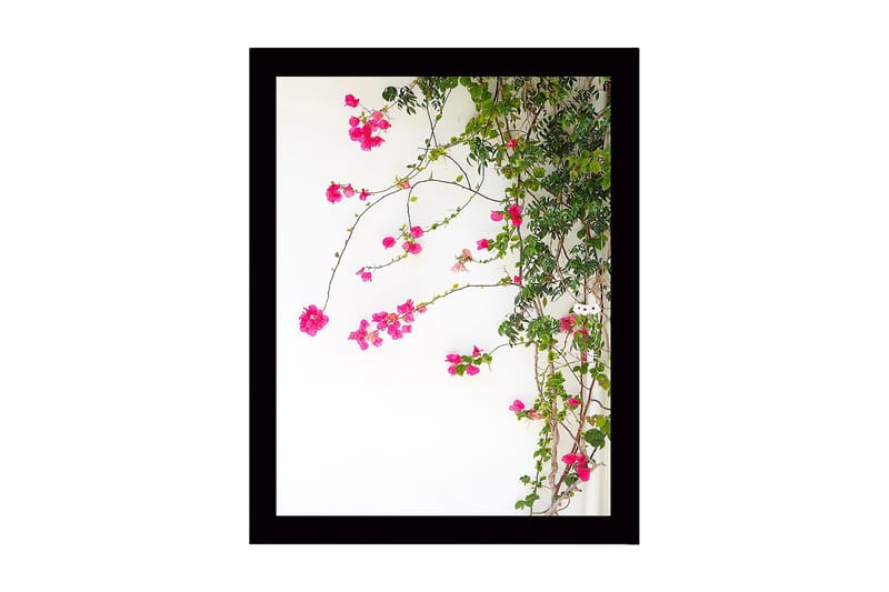 Innrammet trelerretsbilde - 41x56 cm - Fargerike bougainvilleablomster som klatrer langs en gren, Rosa / Grønn