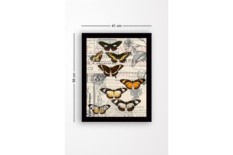 Innrammet trelerretsbilde - 41x56 cm - Fargerike sommerfugler på en vintage-inspirert bakgrunn - Svart / Brun / Oransje - Innredning - Bilder & kunst