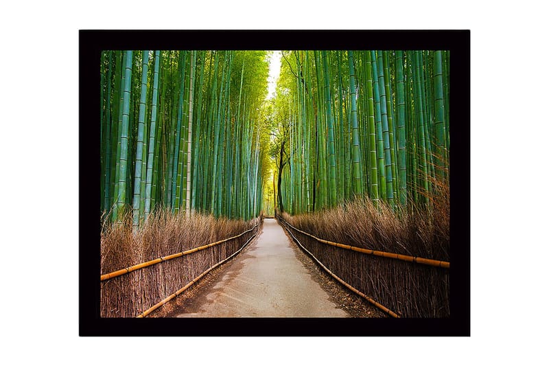 Innrammet trelerretsbilde - 41x56 cm - Grønn bambuskog med en sti som fører gjennom trærne, Grønn / Brun