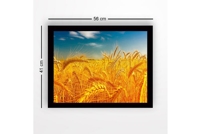 Innrammet trelerretsbilde - 41x56 cm - Gyldne hveteåkre under en klar himmel - Gull / Blå / Grønn - Innredning - Bilder & kunst