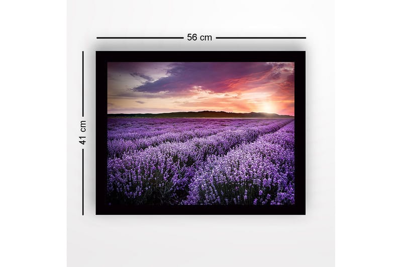 Innrammet trelerretsbilde - 41x56 cm - Lavendelåkrer under en solnedgang - Lilla / Rosa / Grønn - Innredning - Bilder & kunst