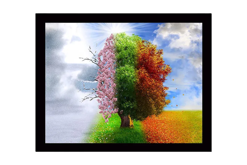 Innrammet trelerretsbilde - 41x56 cm - Trær som representerer de fire årstidene i en harmonisk komposisjon, Rosa / Grønn / Oransje