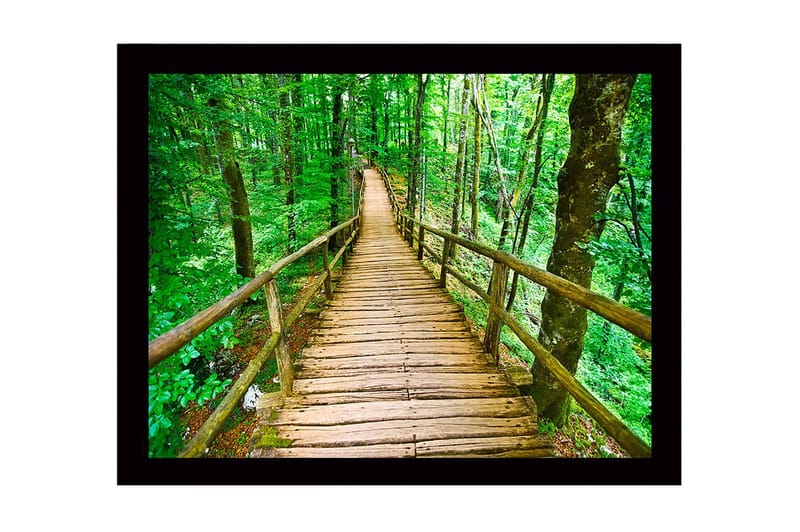 Innrammet trelerretsbilde - 41x56 cm - Trebro som slynger seg gjennom en frodig skog, Grønn / Brun