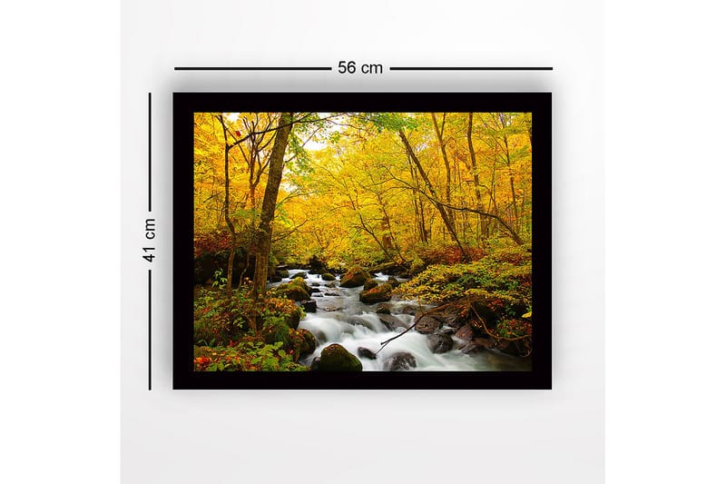 Innrammet trelerretsbilde - 41x56 cm - Vakker skog med en klukkende bekk omgitt av gyldne høstløv - Gul / Grønn / Brun - Innredning - Bilder & kunst