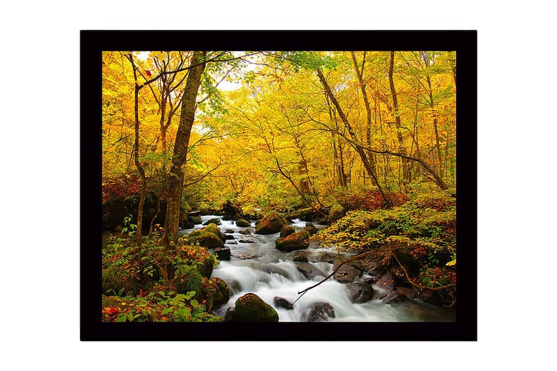 Innrammet trelerretsbilde - 41x56 cm - Vakker skog med en klukkende bekk omgitt av gyldne høstløv, Gul / Grønn / Brun