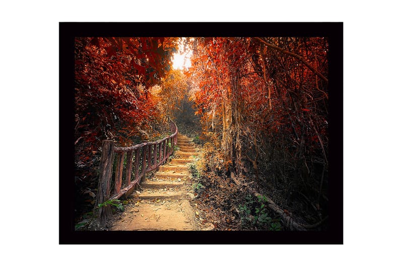 Innrammet trelerretsbilde - 41x56 cm - Vakker sti gjennom en høstfarget skog - Rød / Oransje / Brun - Innredning - Bilder & kunst
