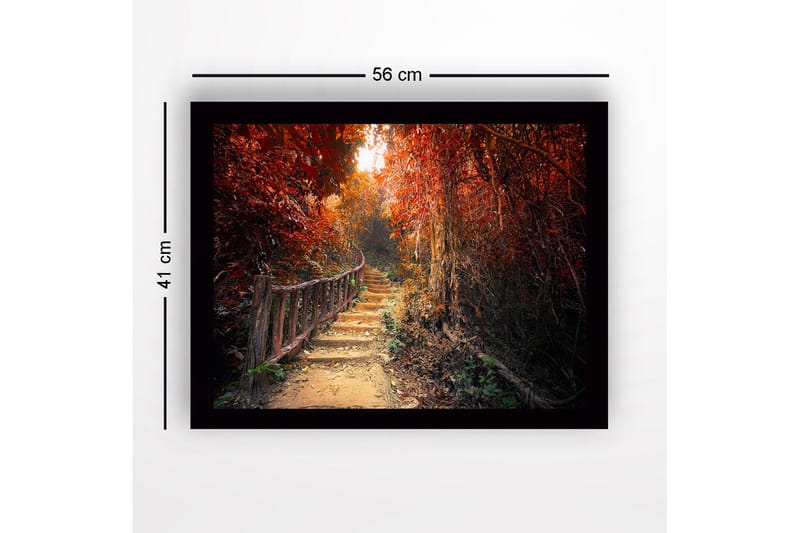 Innrammet trelerretsbilde - 41x56 cm - Vakker sti gjennom en høstfarget skog - Rød / Oransje / Brun - Innredning - Bilder & kunst