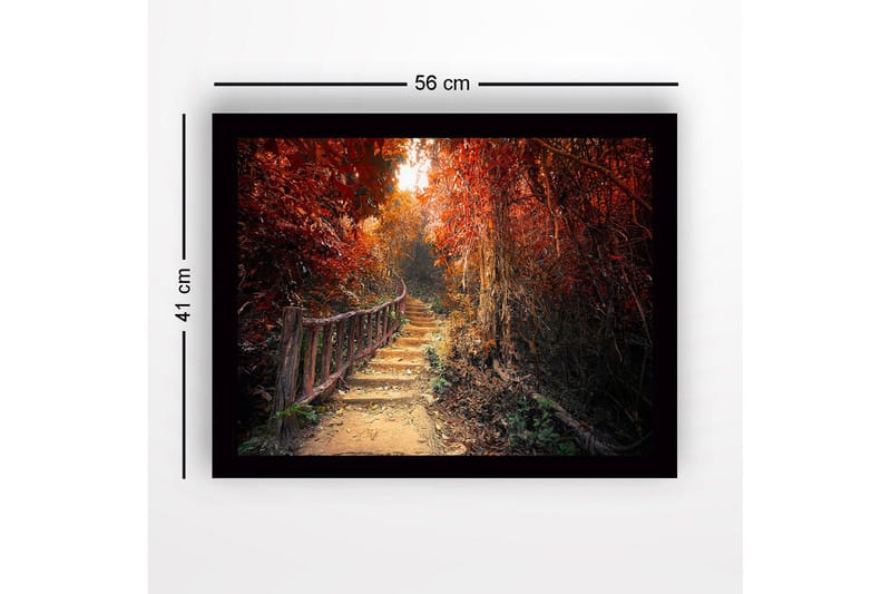 Innrammet trelerretsbilde - 41x56 cm - Vakker sti gjennom en høstfarget skog - Rød / Oransje / Brun - Innredning - Bilder & kunst