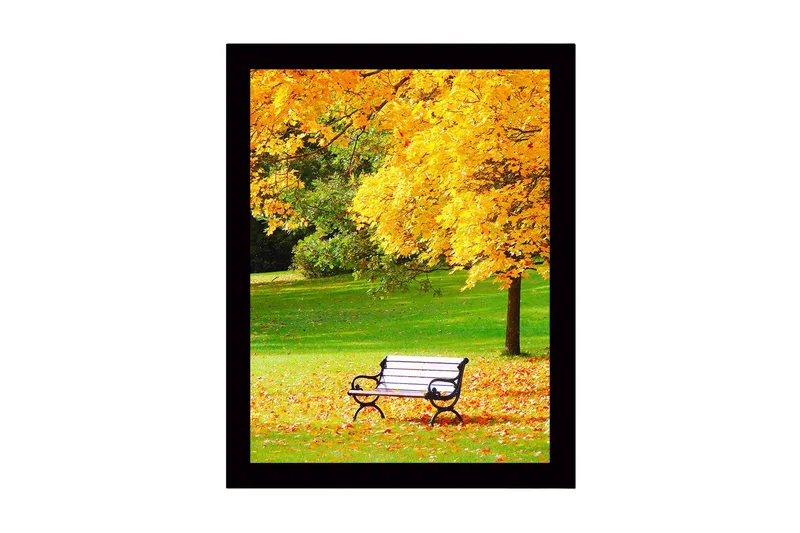 Innrammet trelerretsbilde - 41x56 cm - Vakker parkbenk omgitt av gyldne høstblader, Gull / Grønn / Svart