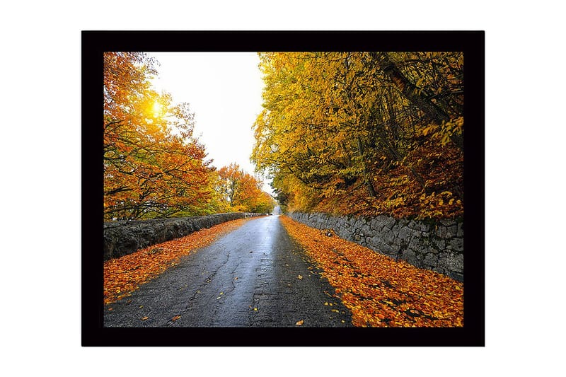 Innrammet trelerretsbilde - 41x56 cm - Vakkert høstlandskap med en vei omgitt av gyldne trær, Gull / Oransje / Grå