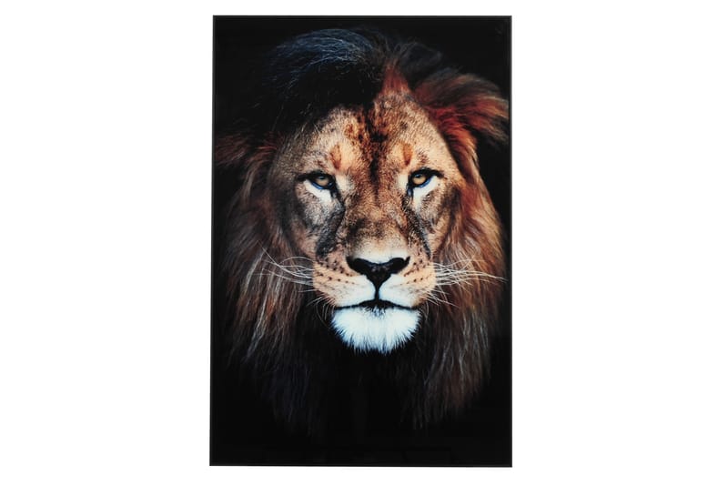 Lejon Bilde - 80x120 cm Flerfarget - Bilder & kunst
