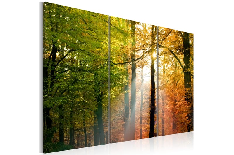 Bilde A Calm Autumn Forest 120x80, Artgeist sp. z o. o.