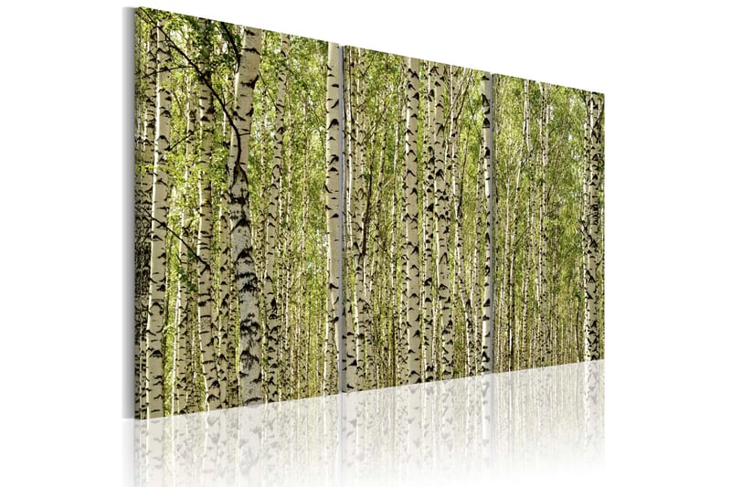 Bilde A forest of birch tre 60x40 - Artgeist sp. z o. o. - Innredning - Bilder & kunst - Lerretsbilder