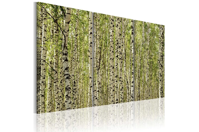 Bilde A forest of birch tre 60x40, Artgeist sp. z o. o.