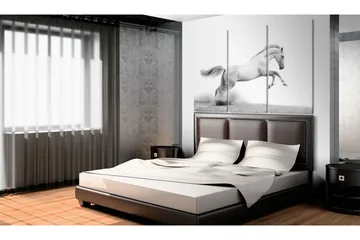 Bilde A galloping horse 90x60 - Artgeist sp. z o. o. - Innredning - Bilder & kunst - Lerretsbilder