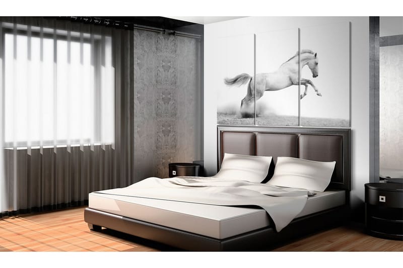 Bilde A galloping horse 90x60 - Artgeist sp. z o. o. - Innredning - Bilder & kunst - Lerretsbilder