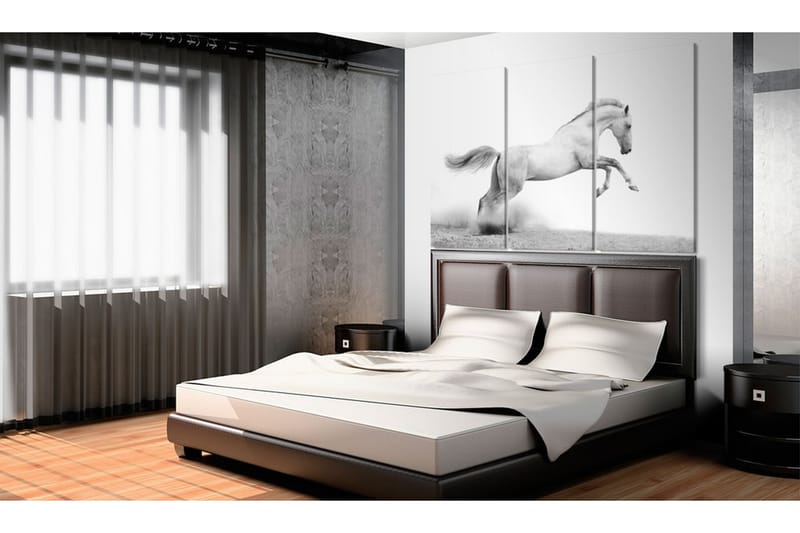 Bilde A galloping horse 90x60 - Artgeist sp. z o. o. - Innredning - Bilder & kunst - Lerretsbilder