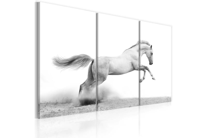 Bilde A galloping horse 90x60 - Artgeist sp. z o. o. - Innredning - Bilder & kunst - Lerretsbilder