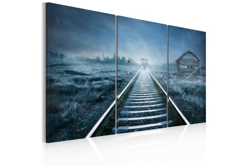 Bilde A Journey In The Fog 60x40, Artgeist sp. z o. o.
