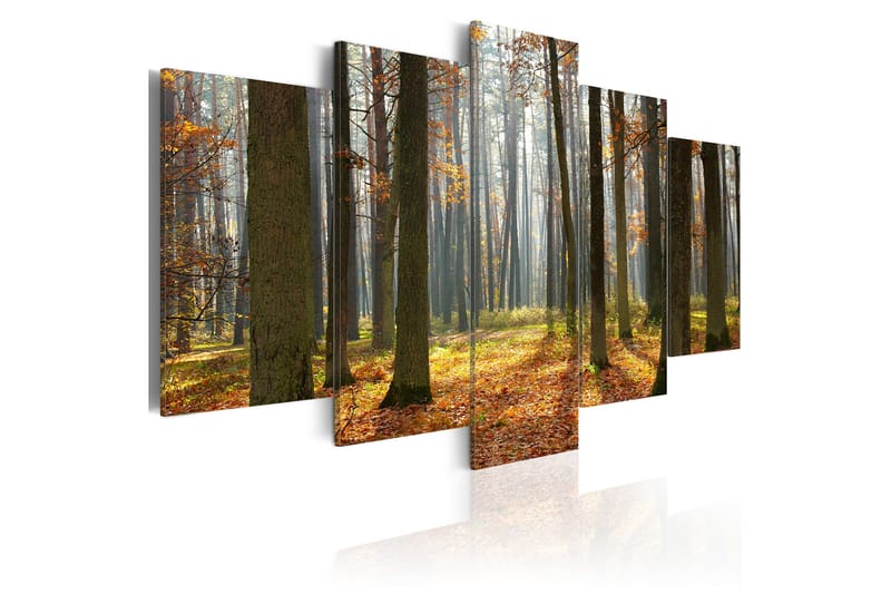Bilde A Nice Forest Landscape 100x50, Artgeist sp. z o. o.