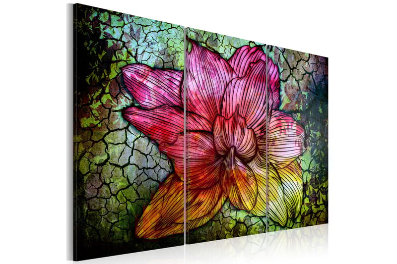 Bilde A Rainbow-Hued Abstract Flower 120x80 - Artgeist sp. z o. o. - Innredning - Bilder & kunst - Lerretsbilder