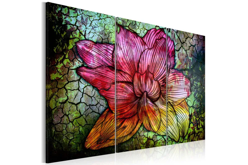 Bilde A Rainbow-Hued Abstract Flower 60x40 - Artgeist sp. z o. o. - Innredning - Bilder & kunst - Lerretsbilder