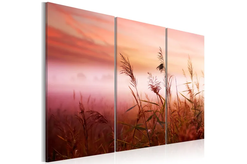 Bilde A Silent Meadow 60x40, Artgeist sp. z o. o.