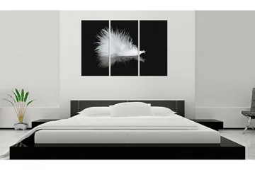 Bilde A Small Feather 120x80 - Artgeist sp. z o. o. - Innredning - Bilder & kunst - Lerretsbilder