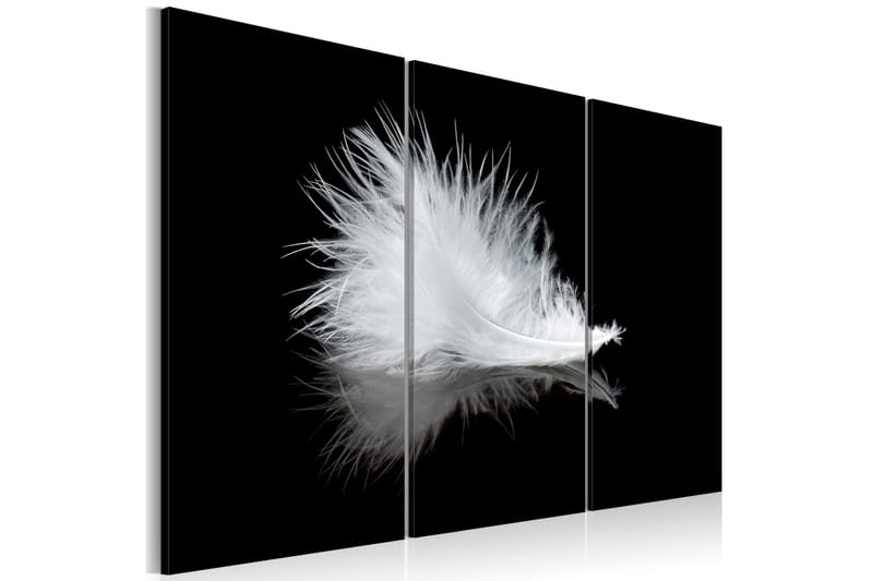 Bilde A Small Feather 60x40 - Artgeist sp. z o. o. - Innredning - Bilder & kunst - Lerretsbilder